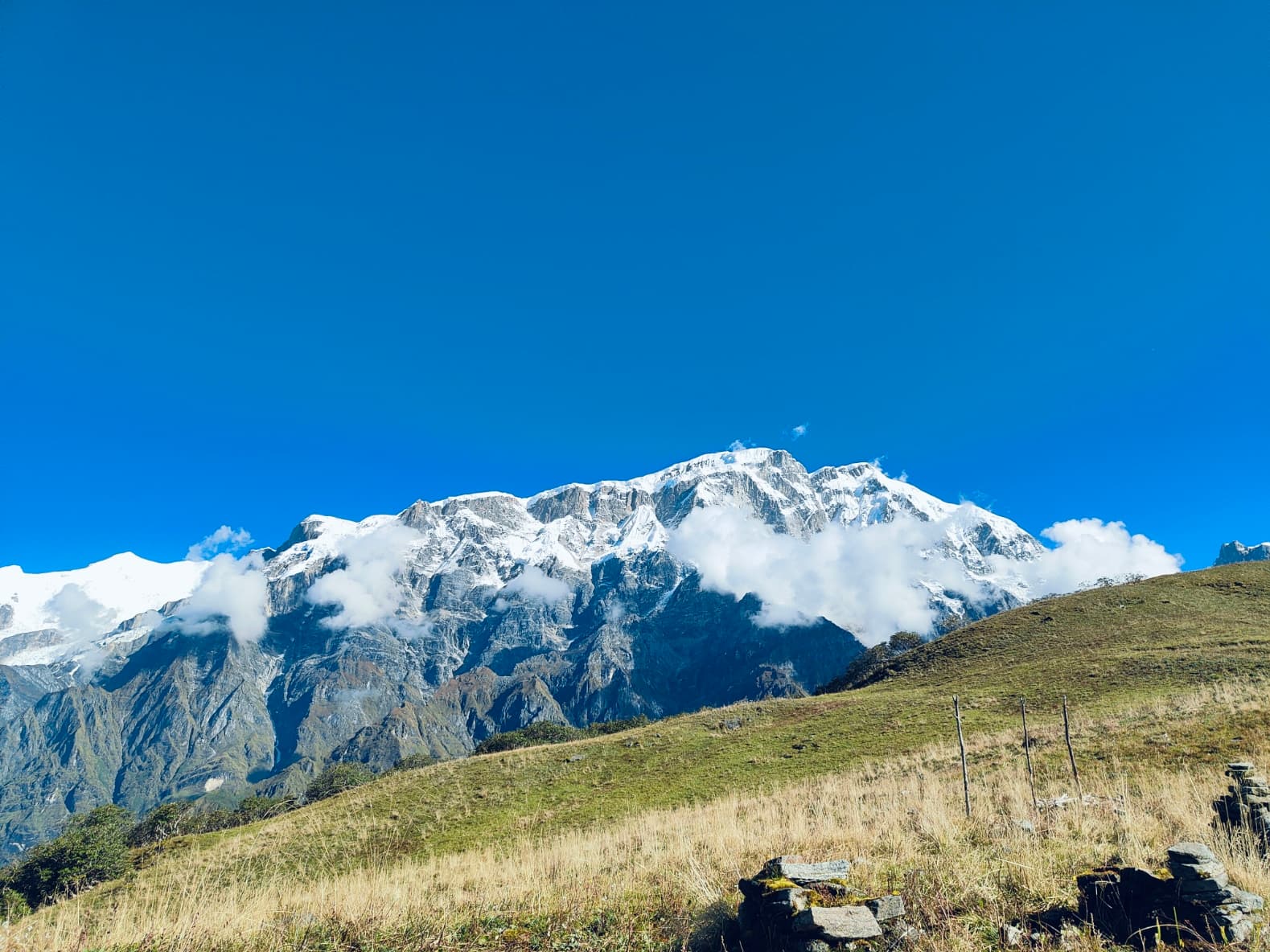 Types of Yoga Ashrams